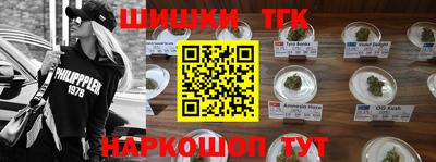молекула духа Будённовск