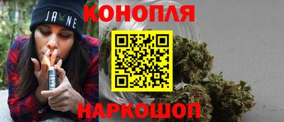 молекула духа Будённовск