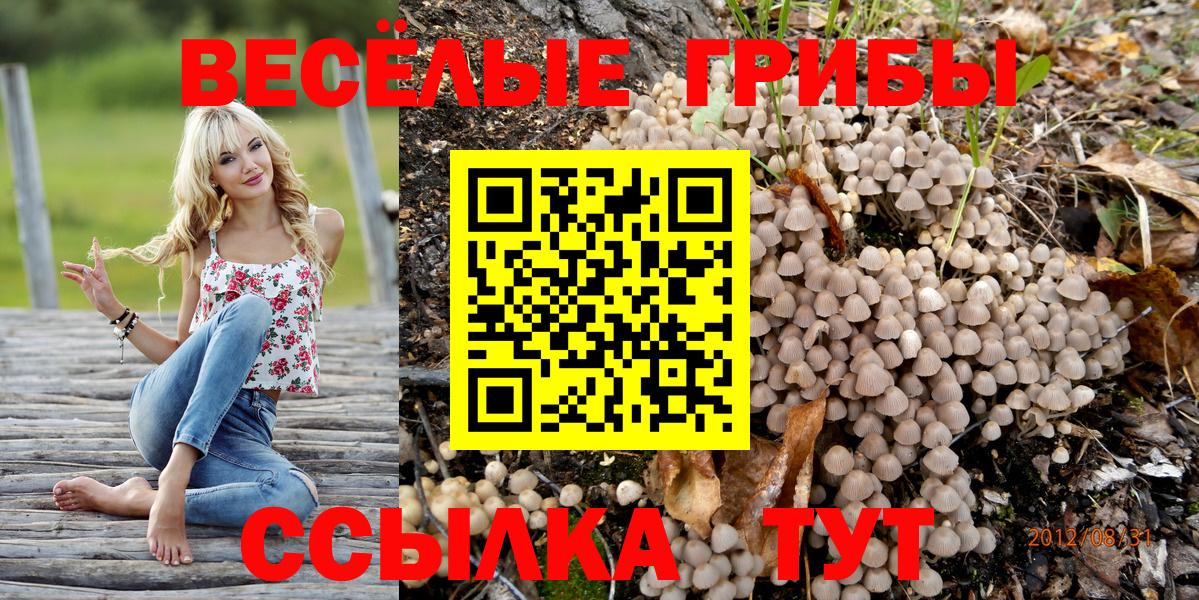 Псилоцибиновые грибы Magic Shrooms  Вход с VPN  Ростов Великий  Галлюциногенные грибы Psilocybine cubensis 