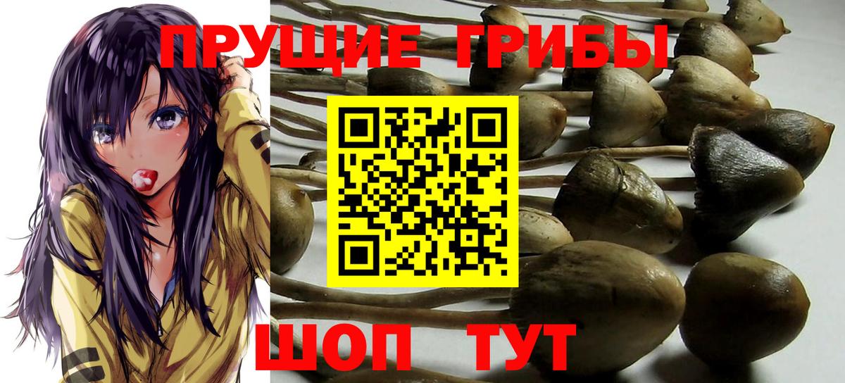 Галлюциногенные грибы прущие грибы Ростов Великий